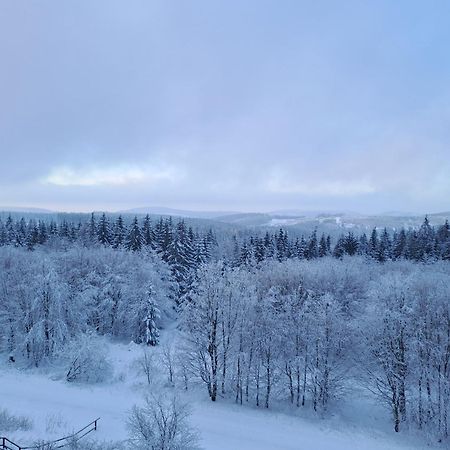 Ferienwohnung Skadi, Hahnenklee Гослар Экстерьер фото